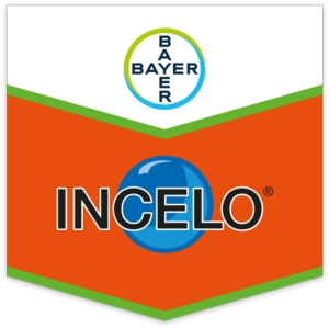 INCELO