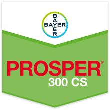 PROSPER 300 CS