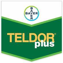 TELDOR PLUS