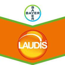 LAUDIS