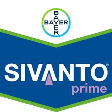 SIVANTO PRIME