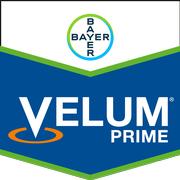 VELUM PRIME