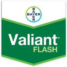 VALIANT FLASH