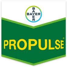 PROPULSE