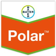 POLAR