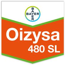 OIZYSA 480 SL