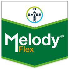 MELODY FLEX