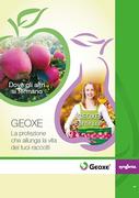 geoxe prezzo