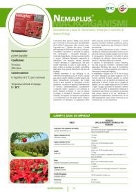 Pagina catalogo