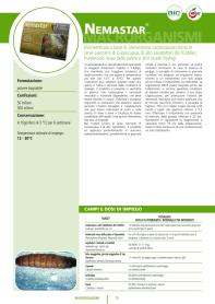 Pagina catalogo