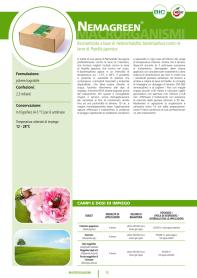 Pagina catalogo