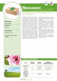 Pagina catalogo