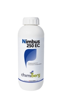 NIMBUS 250 EC