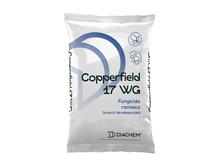 COPPERFIELD 17 WG