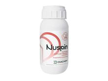 NUSPIN