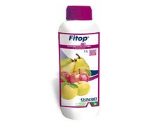 FITOP 80
