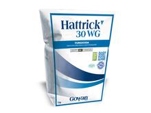 HATTRICK 30 WG